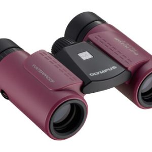 Olympus 8x21 RC II WP Magenta | Teleskopshop.ch