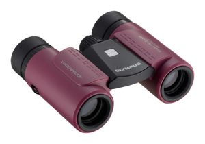 Olympus 8x21 RC II WP Magenta | Teleskopshop.ch